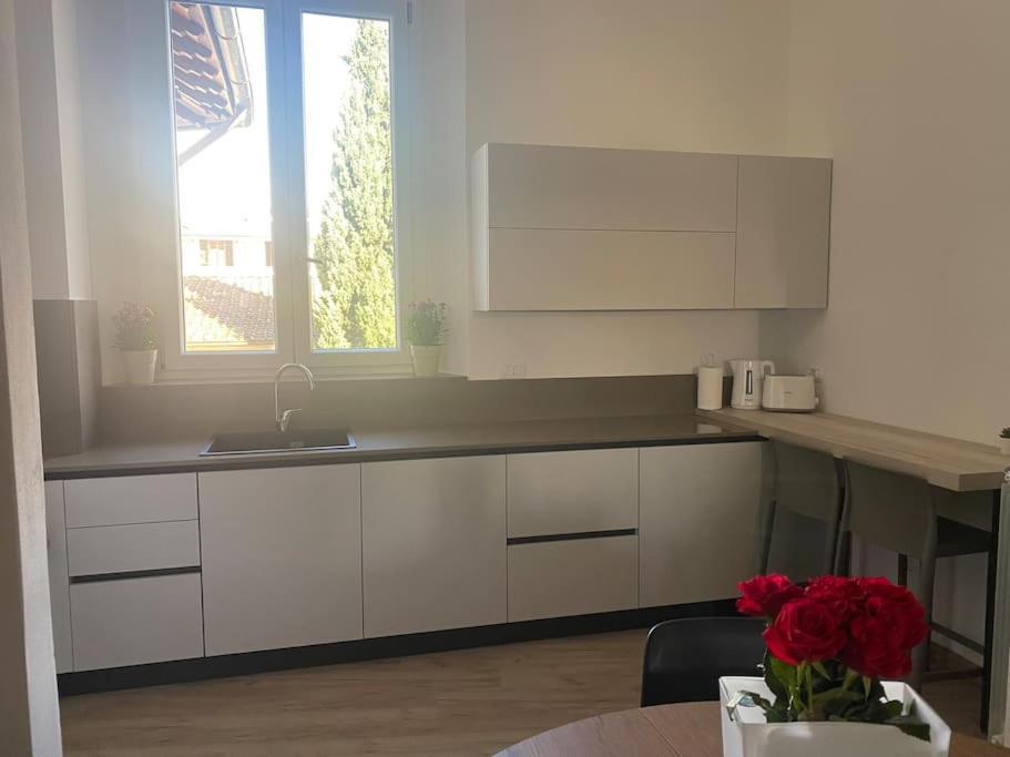 Micheli Apartment フィレンツェ エクステリア 写真